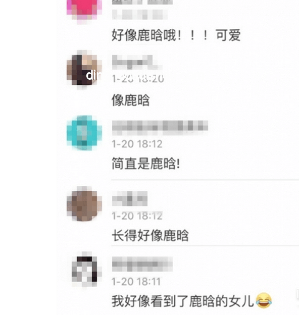 央视2025端午特别节目与历年节目对比分析